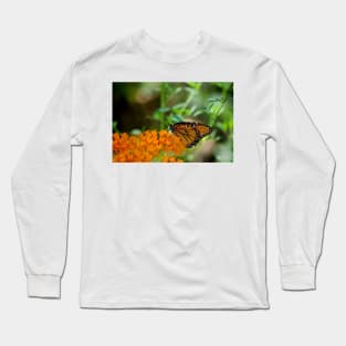 A Quiet Moment ~ Gila National Forest, New Mexico USA Long Sleeve T-Shirt